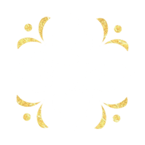Diseñadora grafica